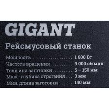 Рейсмусовый станок Gigant TPJ-320-1600 - изображение 28